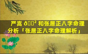 严嵩 🌲 和张居正八字命理分析「张居正八字命理解析」